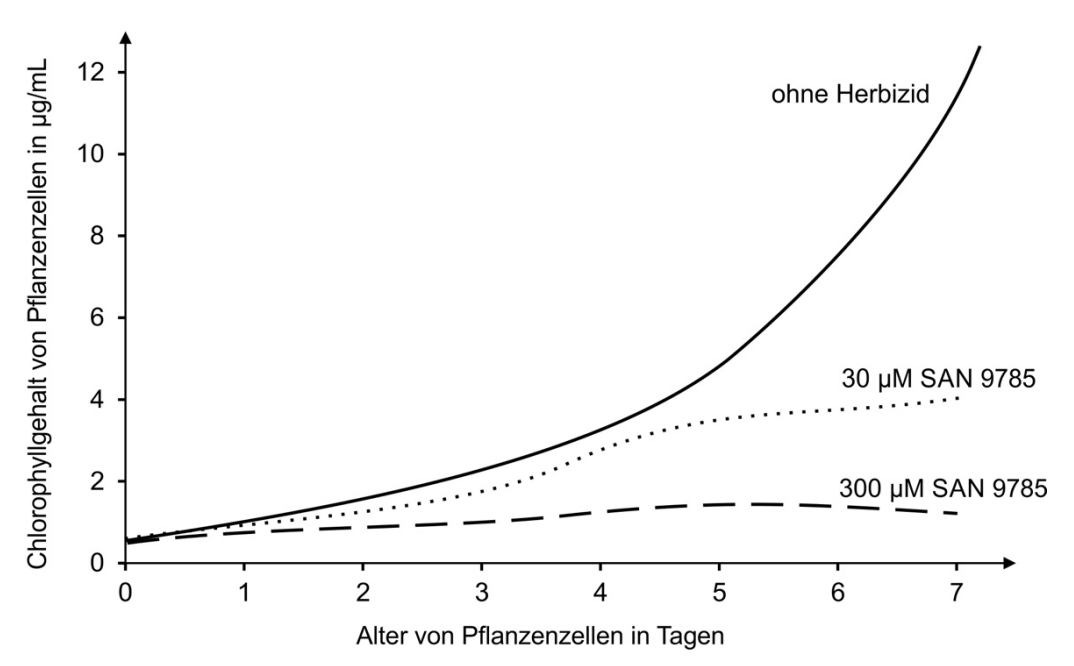 Liniendiagramm: Chlorophyllgehalt von Pflanzenzellen über 7 Tage für ohne Herbizid, 30 µM SAN 9785 und 300 µM SAN 9785.